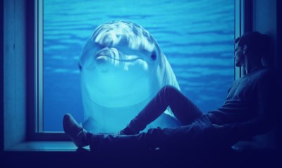 Microalghe: guide per l'estrazione di omega-3 e antiossidanti
