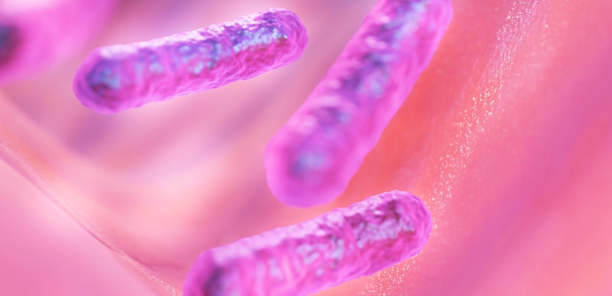 Microscopic view of probiotic bacteria in culture medium