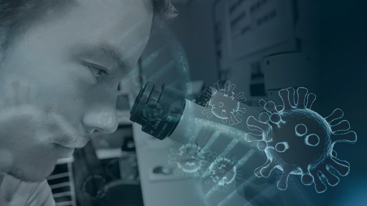 bacterias probióticas bajo microscopio