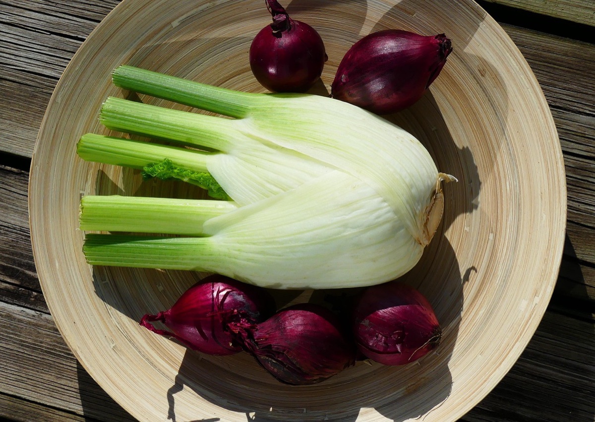 Fresh chicory root and fennel bulbs showing natural prebiotic sources.