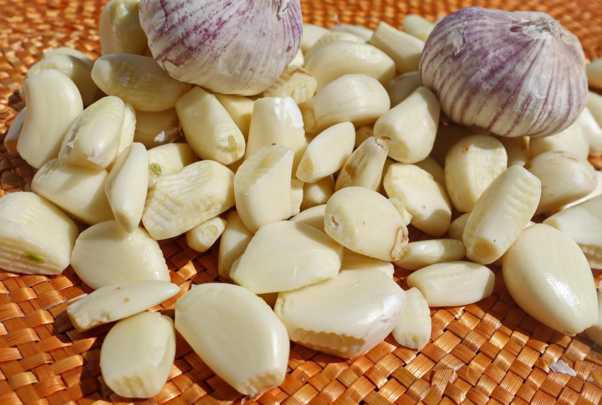 Radici di chicoria e bulbi di aglio su sfondo neutro.