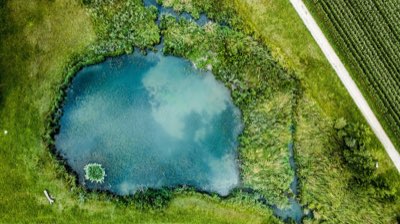 プレバイオティクス活用術！菌の種類を見極める3つの重要ポイント
