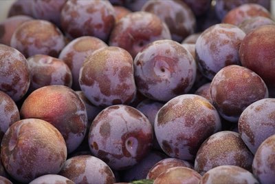 Seguridad alimentaria: 2 tipos de bacterias que debes saber
