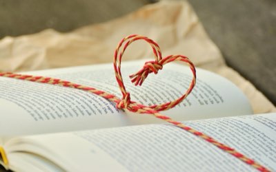 食中毒リスクを回避！腐敗菌と病原菌の違いを科学的に理解する