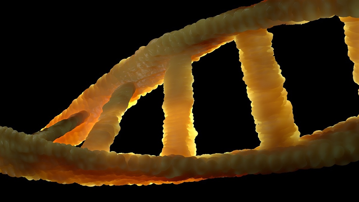 Een wetenschappelijke weergave van een DNA-helix structuur.