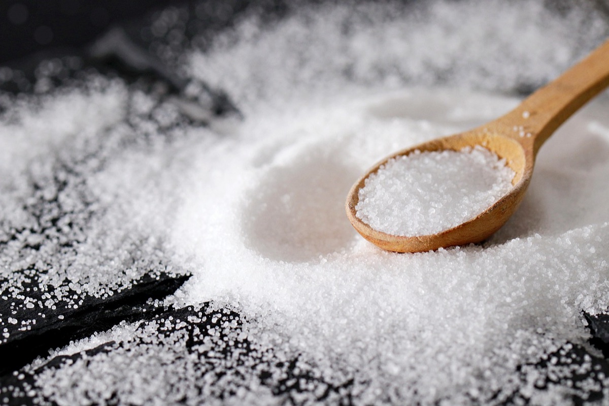 Warme portie yoghurt met levende cultuur