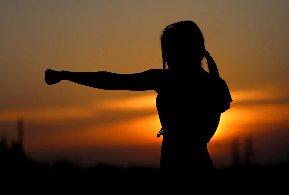 karate, sunset, fight, sports, silhouette, nature, resistance, samurai, fit, girl, self-defense, defense, fist, brown sunset, brown sports
