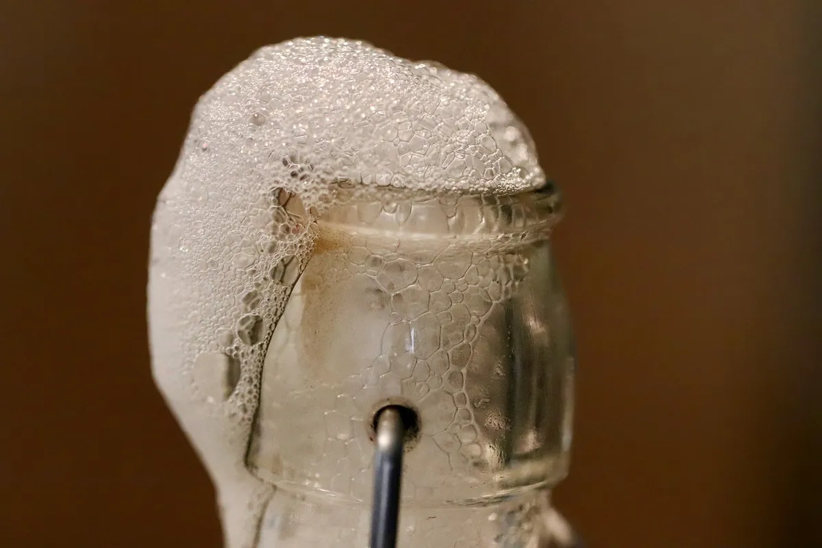 kombucha, fermented drink, foam, fermented, effervescent, bottle, healthy, bubbly, drink, ferment
