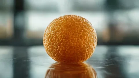 Probiotica 30 minuten voor maaltijd beste gids