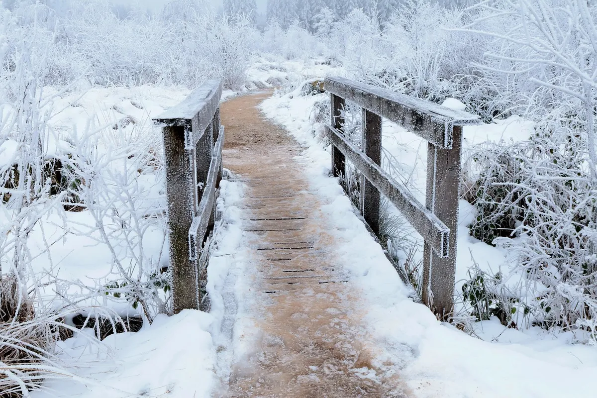 bridge, winter, snow, pathway, hoarfrost, cold, nature, landscape