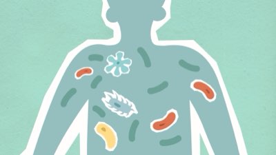 Microbioma: Guide para mantener un ecosistema resistente y sano