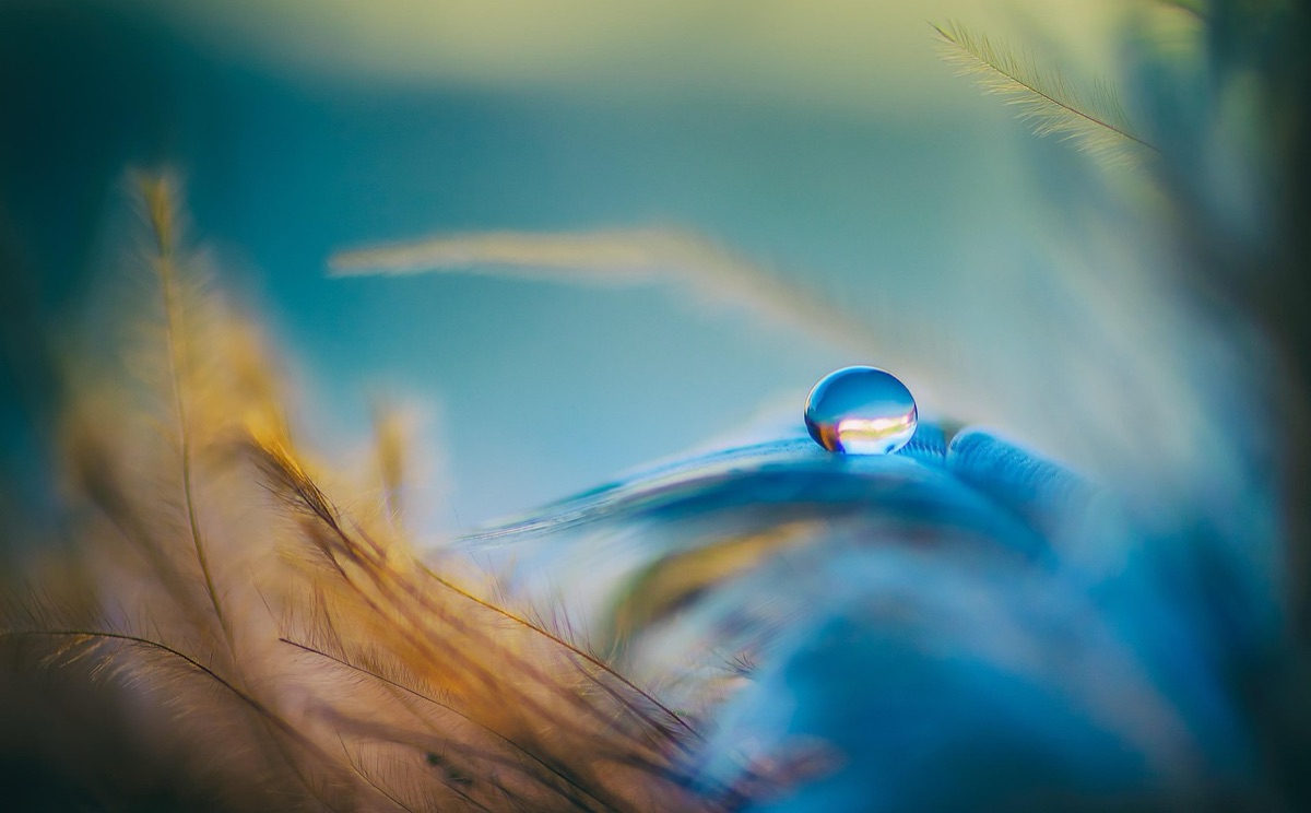 Colonias microbianas en equilibrio