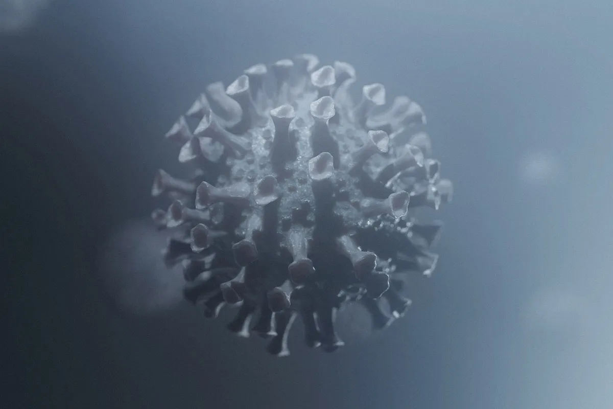 virus, bacteria, coronavirus, covid-19, hygiene, biology, health, sars-cov-2, disease, epidemic, pathogenic, transmission, quarantine, mutation