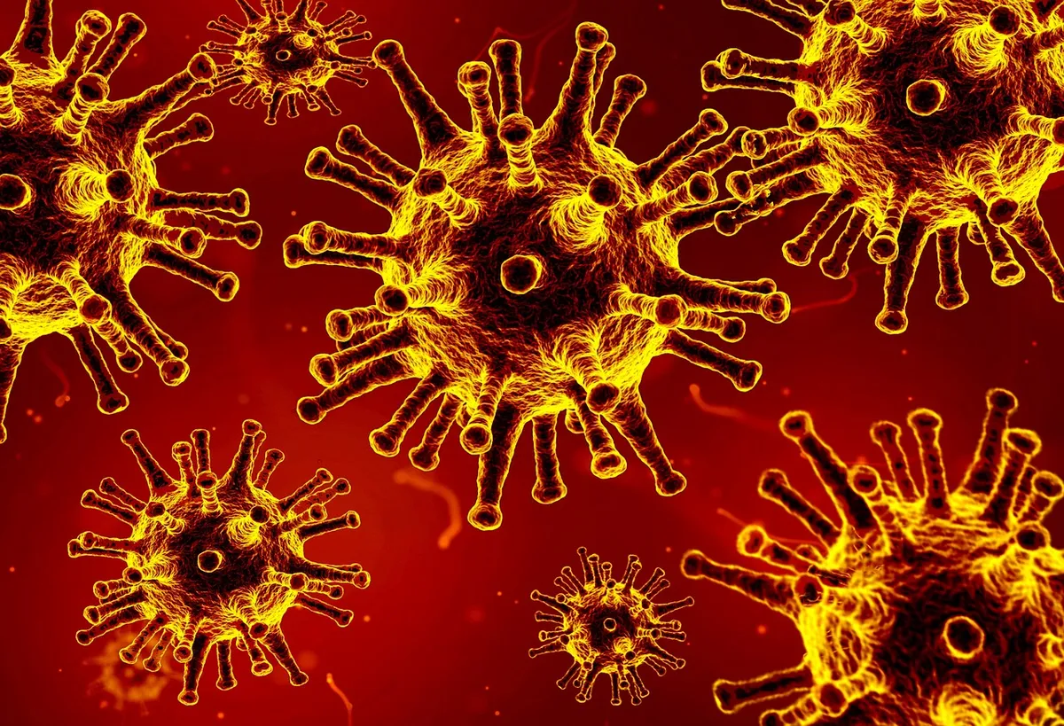 corona, coronavirus, covid, covid-19, virus, quarantine, pandemic, epidemic, hygiene, panic, disease, transmission, pathogen, infection, sanitizer, hand sanitiz