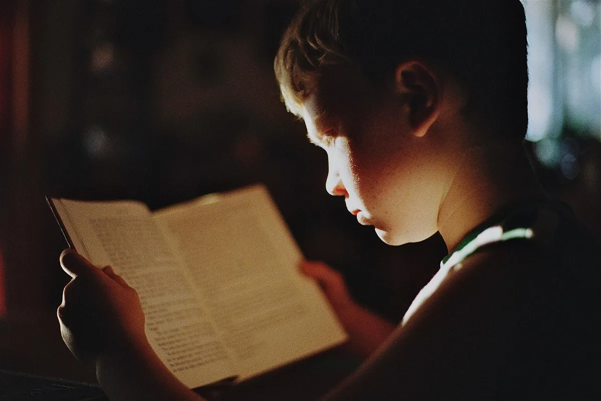 boy, book, reading, literature, read, education, study, studying, knowledge, focus, student, kid, child, young, reading, reading, education, education, educatio